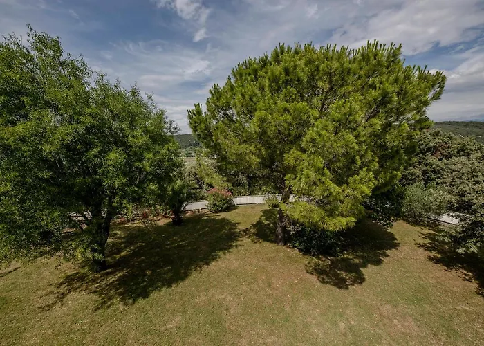 Superior スペタルスカ・ドラガ